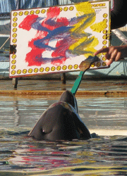 Рисунок дельфина. Фото Логиновой О.И.