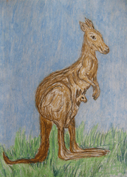 Мать и дитя кенгуру. Рисунок пастелью. Логинова Ольга